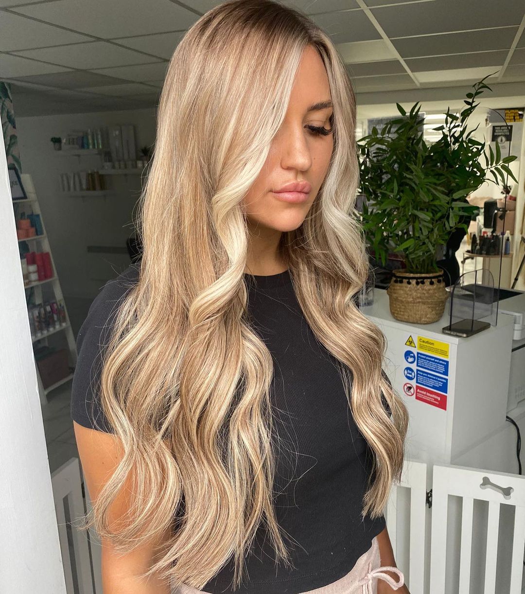 Honey Blonde Light Blonde